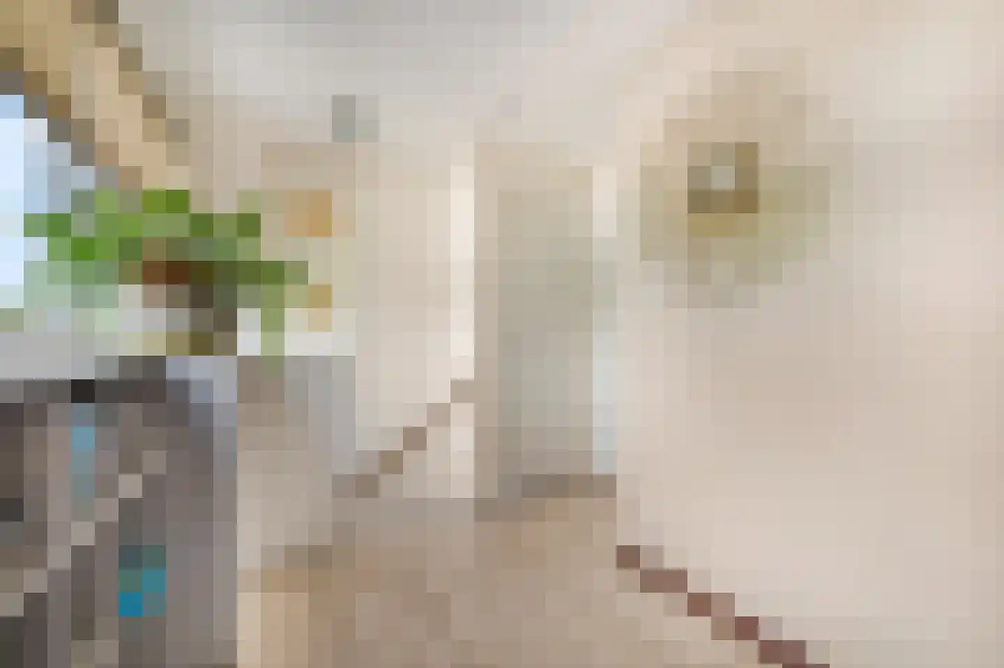 Dokter Asjeslaan 47 Tiel thumbnail 31