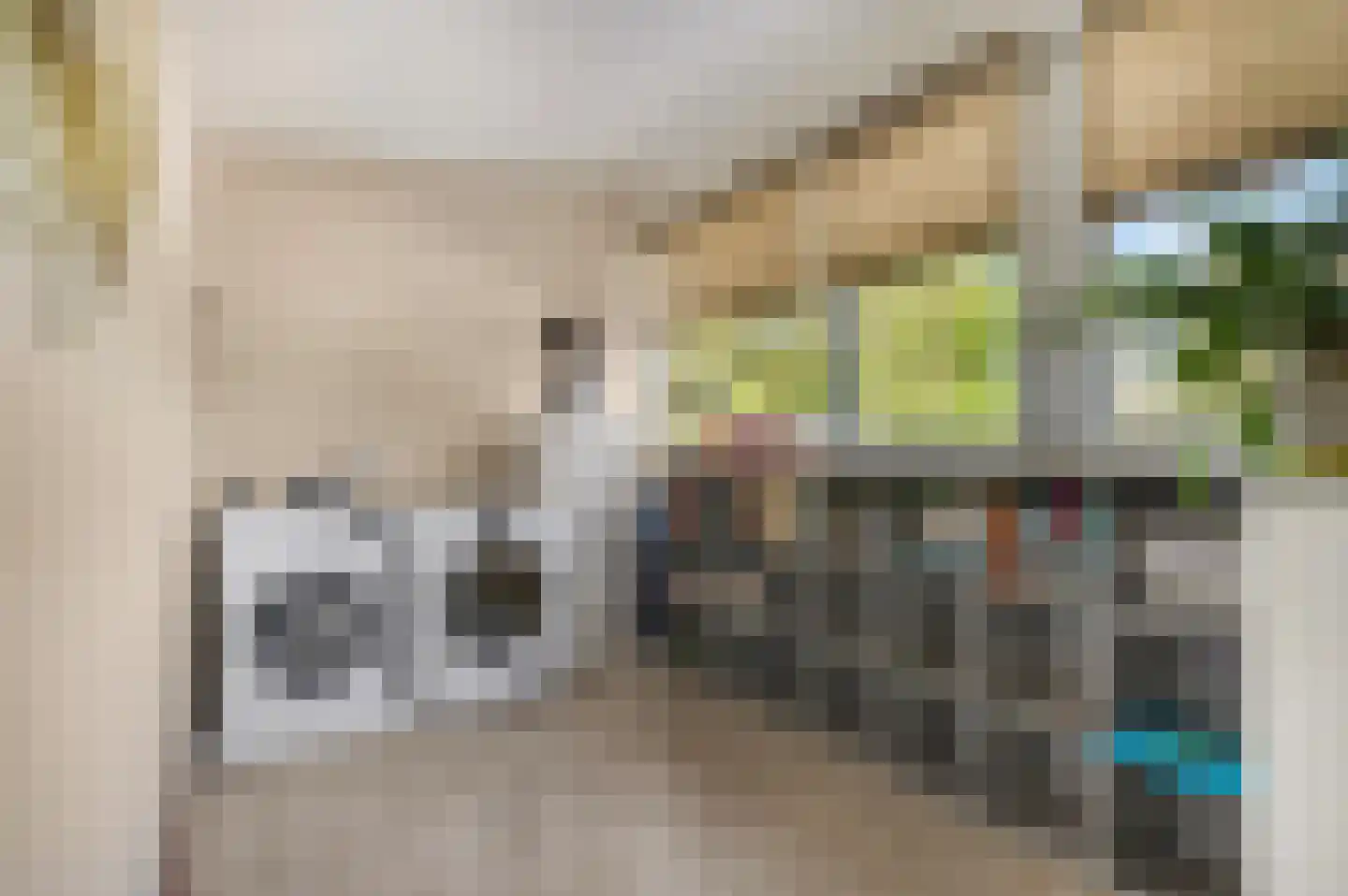 Dokter Asjeslaan 47 Tiel thumbnail 32