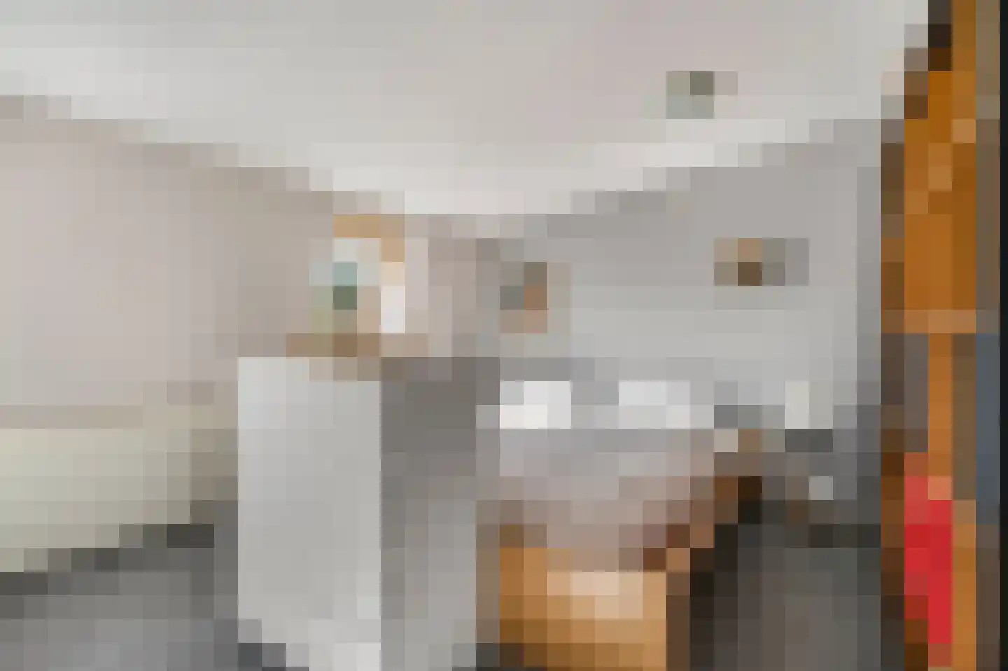 Dokter Asjeslaan 47 Tiel thumbnail 33