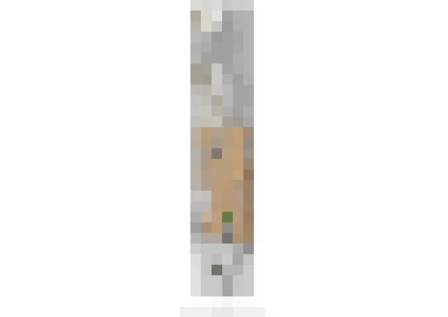 Dokter Asjeslaan 47 Tiel thumbnail 39
