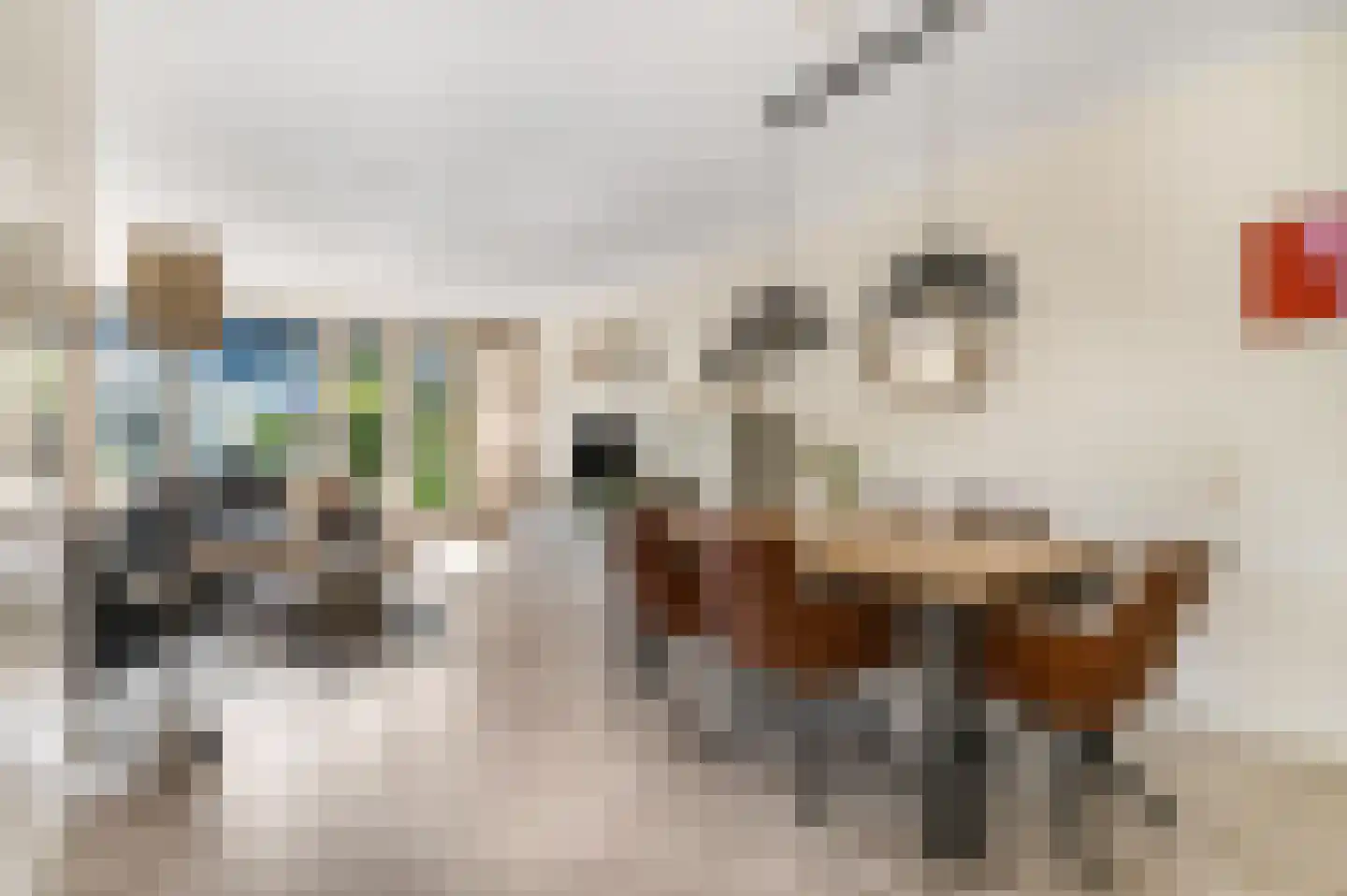 Dokter Asjeslaan 47 Tiel thumbnail 5