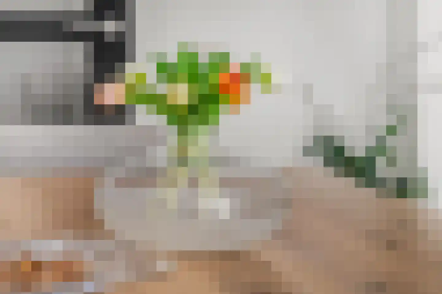 Dokter Asjeslaan 47 Tiel thumbnail 6