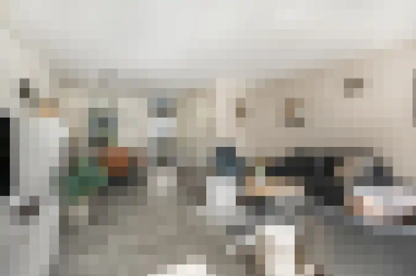 Dokter Asjeslaan 47 Tiel thumbnail 7