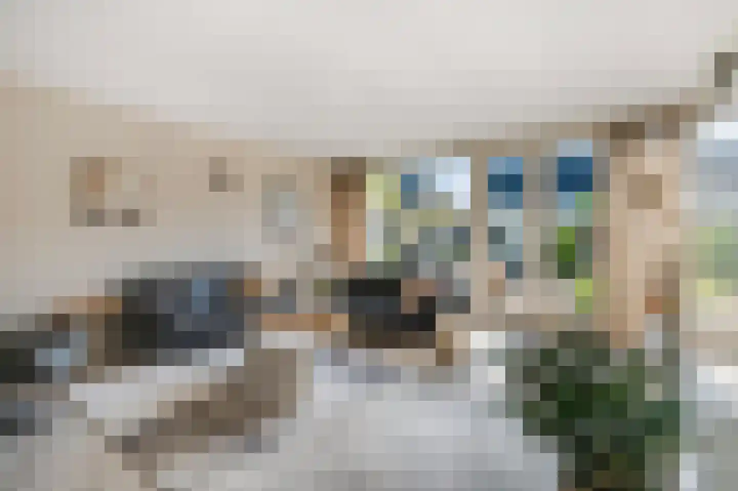 Dokter Asjeslaan 47 Tiel thumbnail 8