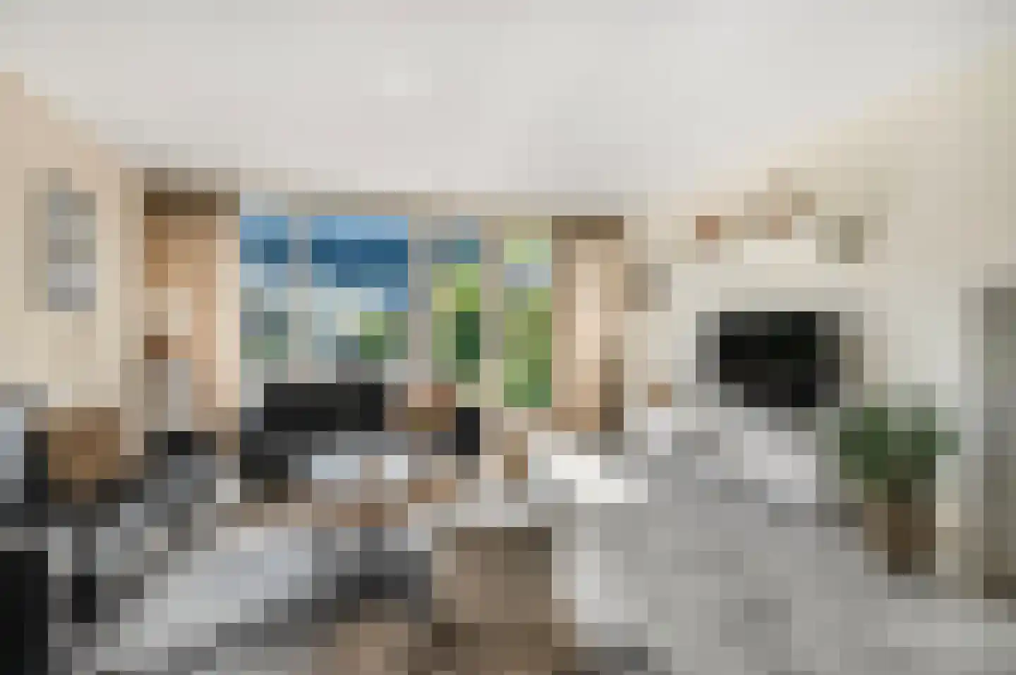 Dokter Asjeslaan 47 Tiel thumbnail 9