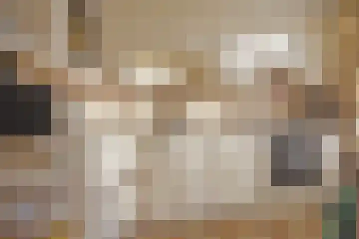 Dokter B. Hornstrasingel 16 Burgum thumbnail 17