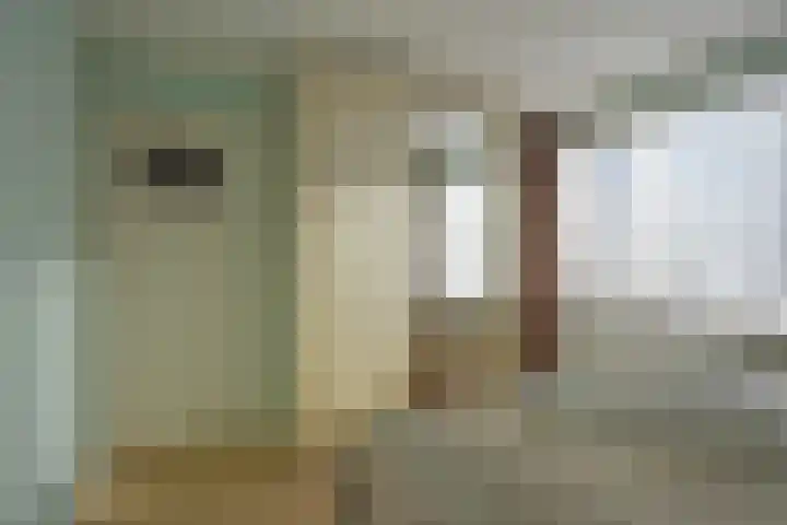 Dokter B. Hornstrasingel 16 Burgum thumbnail 28