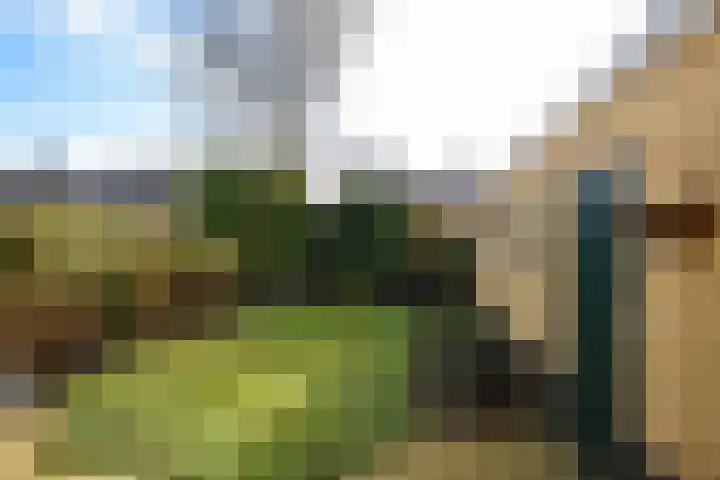 Dokter B. Hornstrasingel 16 Burgum thumbnail 5