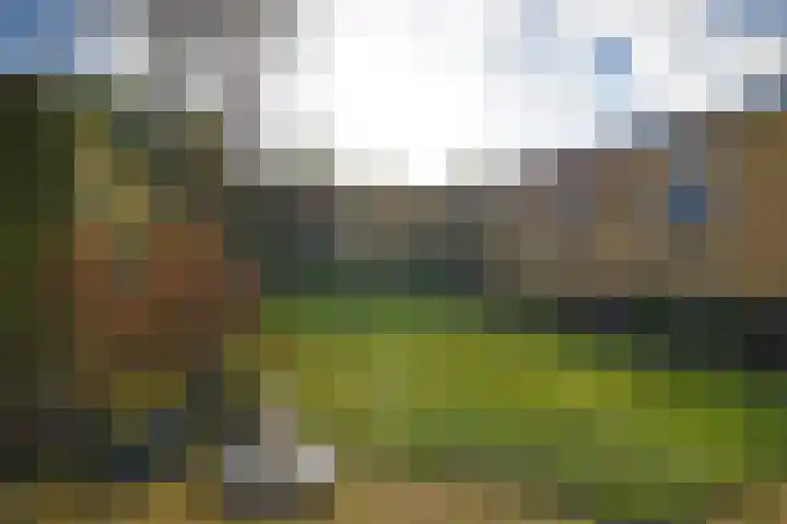 Dokter B. Hornstrasingel 16 Burgum thumbnail 6