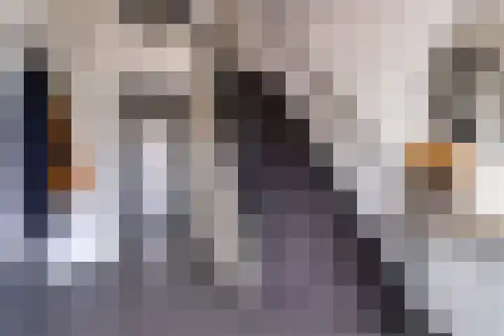 Dokter B. Hornstrasingel 76 Burgum thumbnail 12