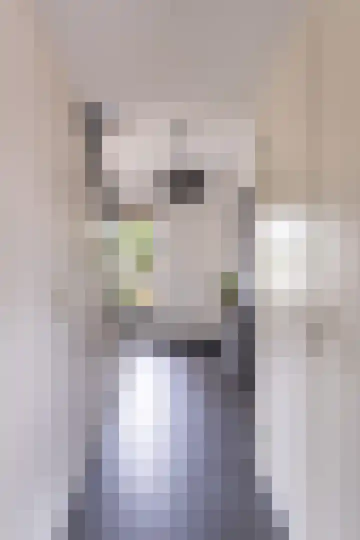 Dokter B. Hornstrasingel 76 Burgum thumbnail 13