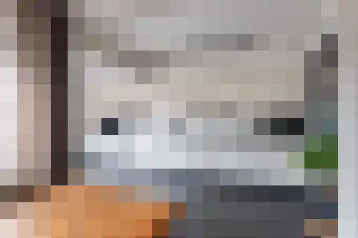 Dokter B. Hornstrasingel 76 Burgum thumbnail 18