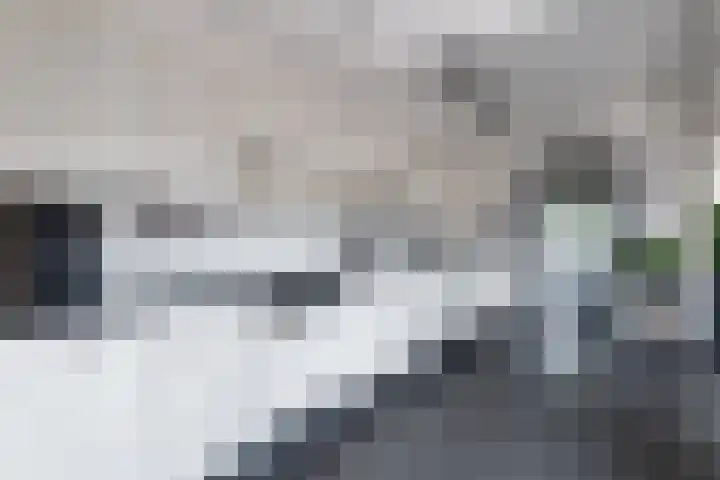Dokter B. Hornstrasingel 76 Burgum thumbnail 19