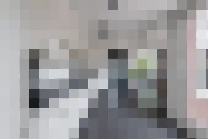 Dokter B. Hornstrasingel 76 Burgum thumbnail 20
