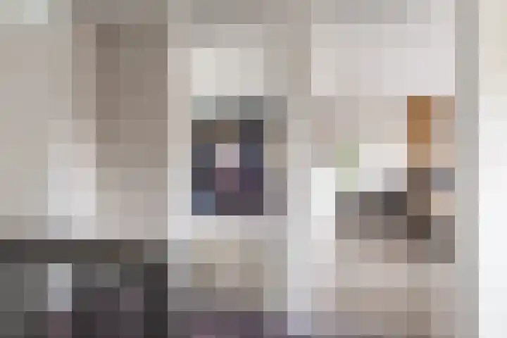 Dokter B. Hornstrasingel 76 Burgum thumbnail 27