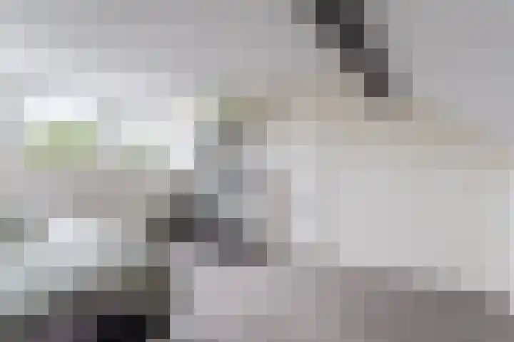 Dokter B. Hornstrasingel 76 Burgum thumbnail 30