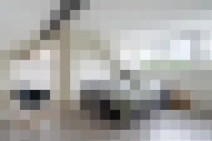 Dokter B. Hornstrasingel 76 Burgum thumbnail 31