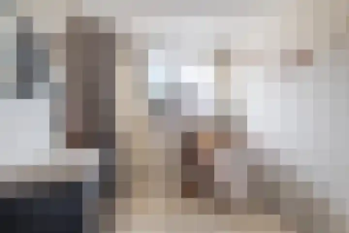 Dokter B. Hornstrasingel 76 Burgum thumbnail 33