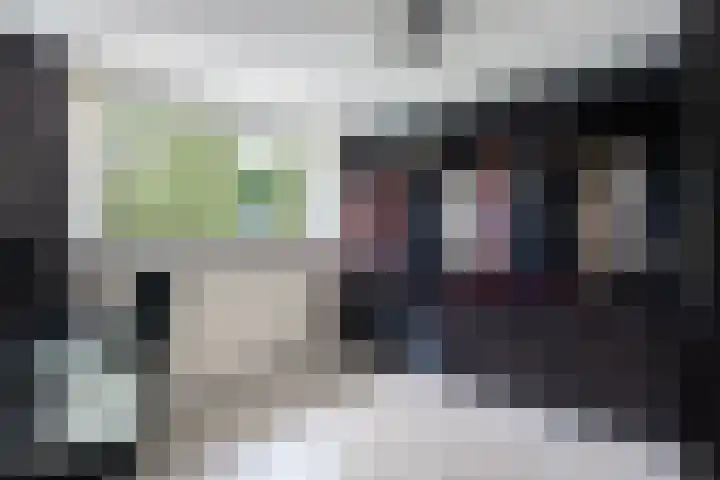 Dokter B. Hornstrasingel 76 Burgum thumbnail 35