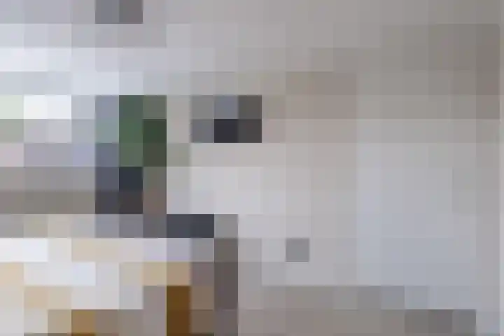 Dokter B. Hornstrasingel 76 Burgum thumbnail 37