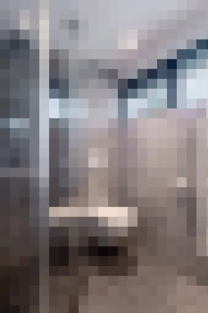 Dokter B. Hornstrasingel 76 Burgum thumbnail 39