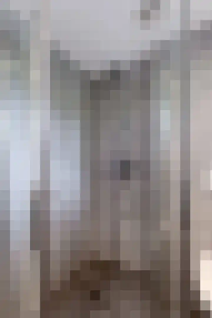 Dokter B. Hornstrasingel 76 Burgum thumbnail 41