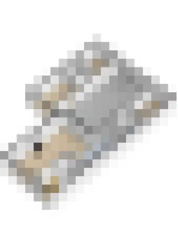 Dokter B. Hornstrasingel 76 Burgum thumbnail 56