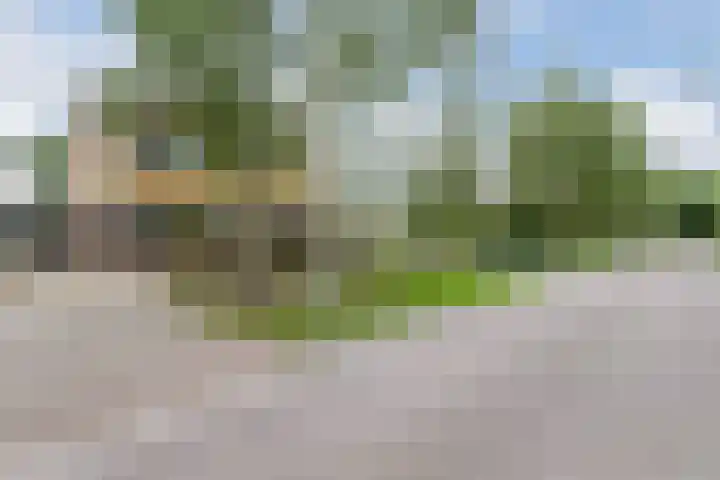 Dokter B. Hornstrasingel 76 Burgum thumbnail 6