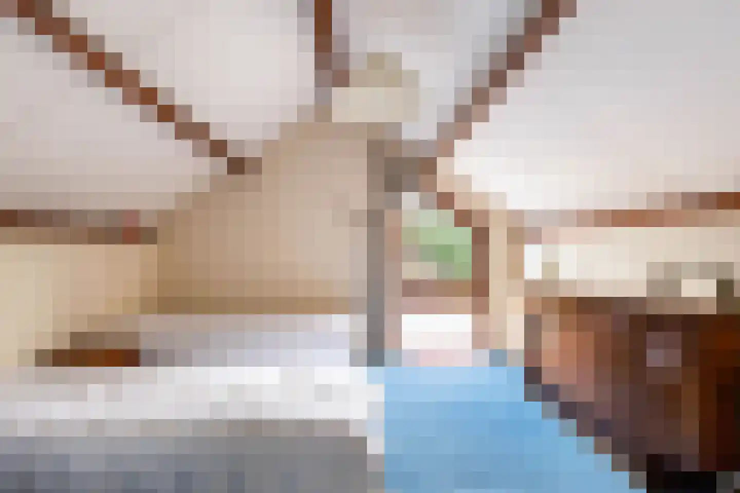 Dokter B. Hornstrasingel 78 Burgum thumbnail 26