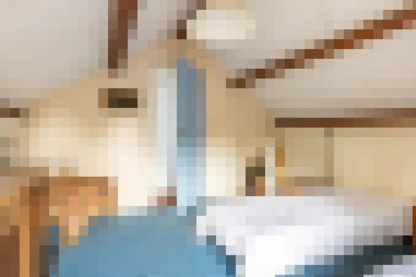 Dokter B. Hornstrasingel 78 Burgum thumbnail 27