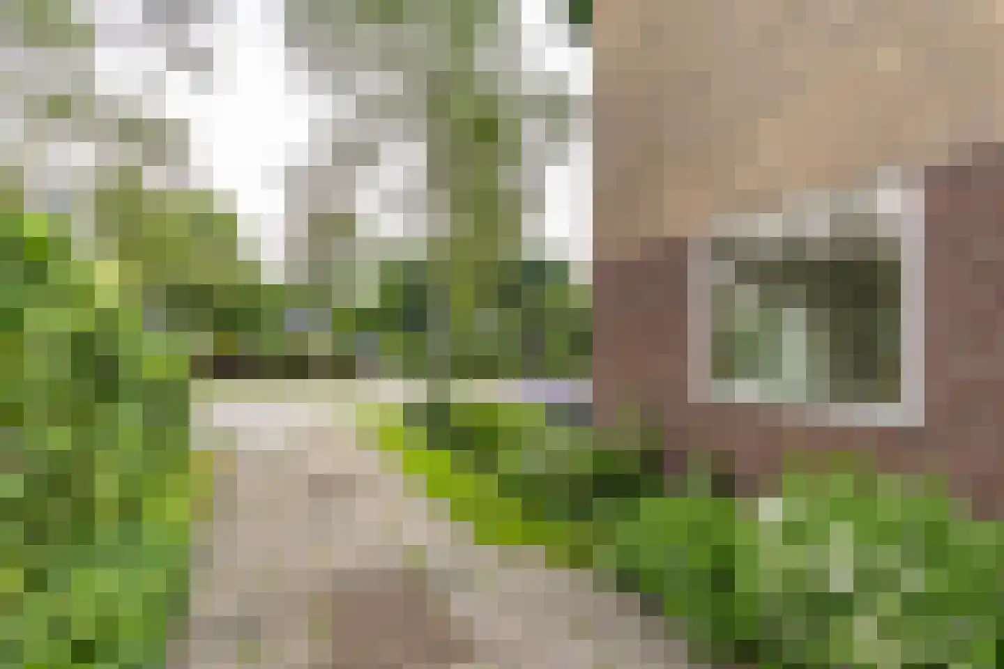 Dokter B. Hornstrasingel 78 Burgum thumbnail 34