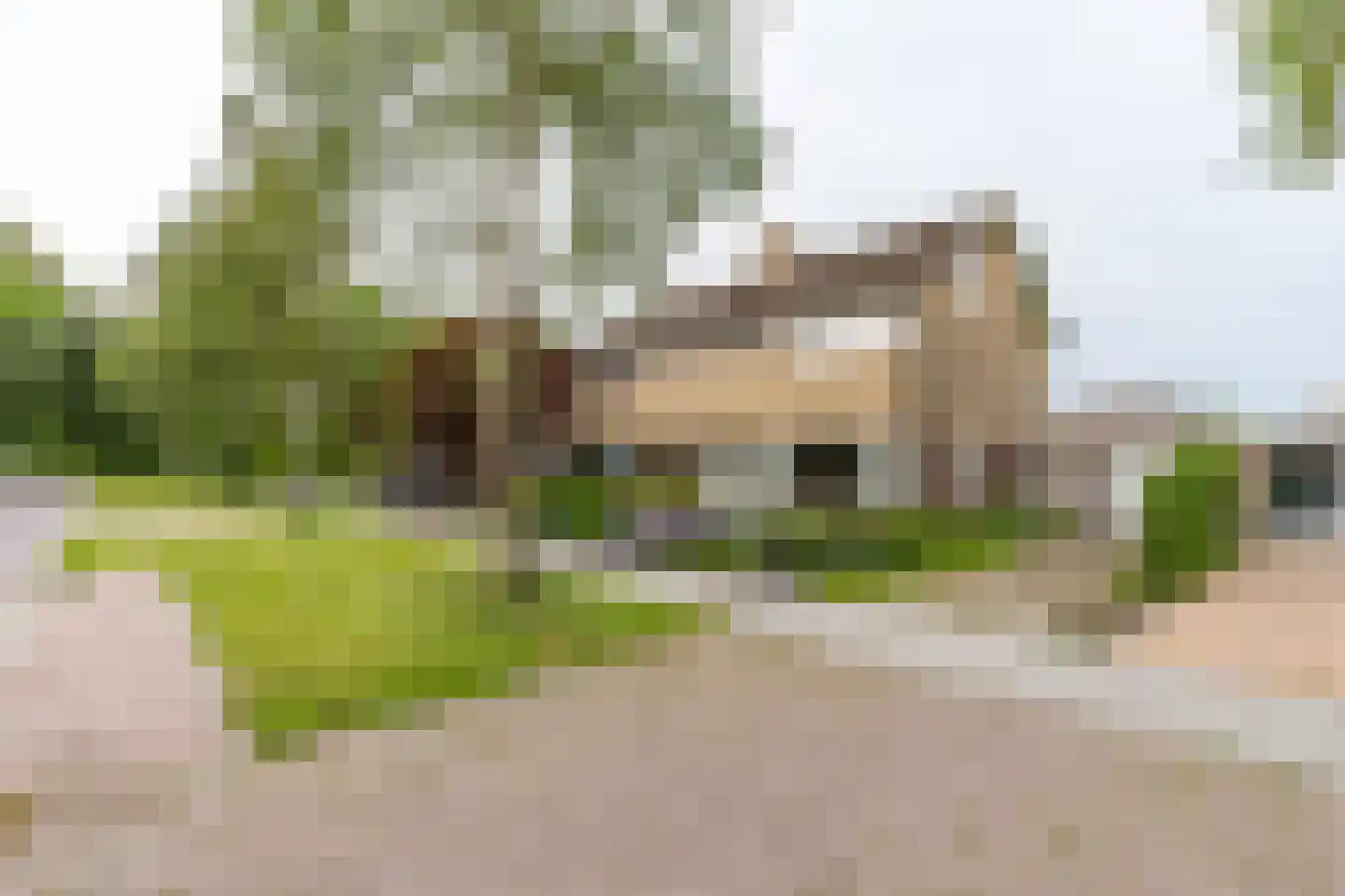 Dokter B. Hornstrasingel 78 Burgum thumbnail 37