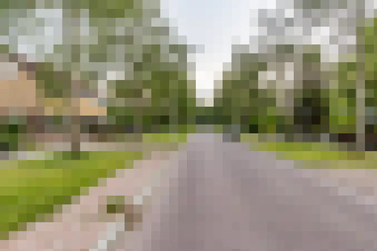 Dokter B. Hornstrasingel 78 Burgum thumbnail 39