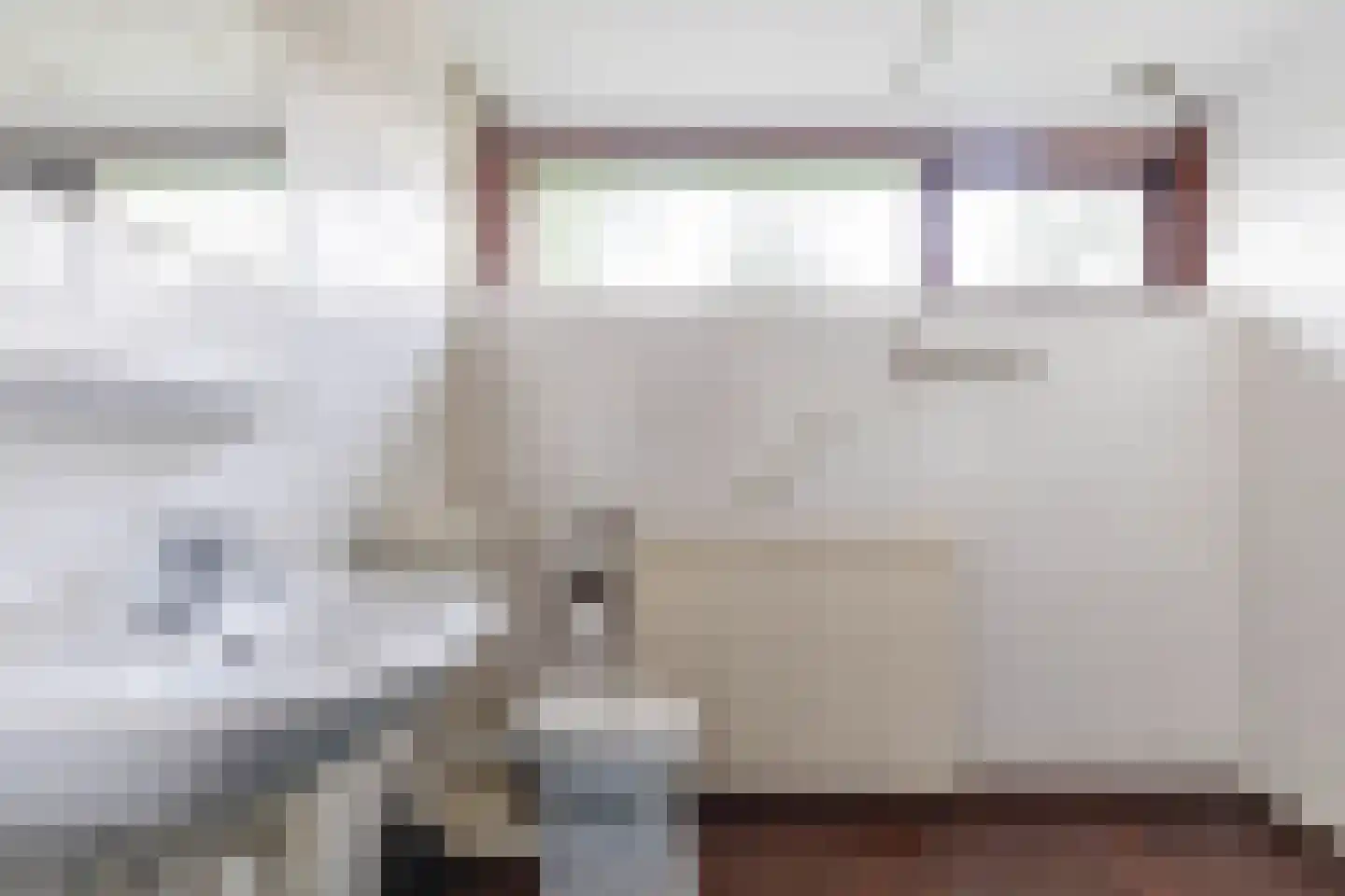 Dokter B. Hornstrasingel 78 Burgum thumbnail 4