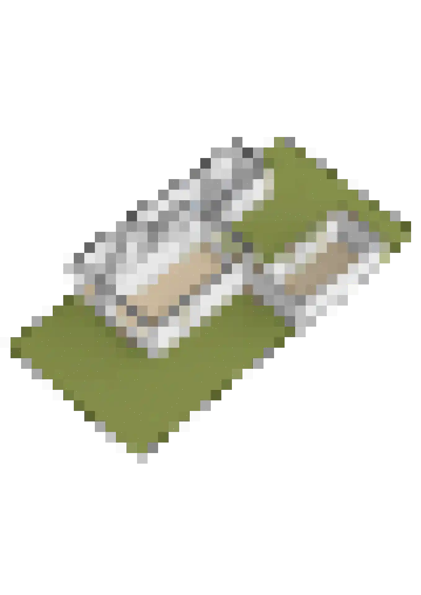 Dokter B. Hornstrasingel 78 Burgum thumbnail 48
