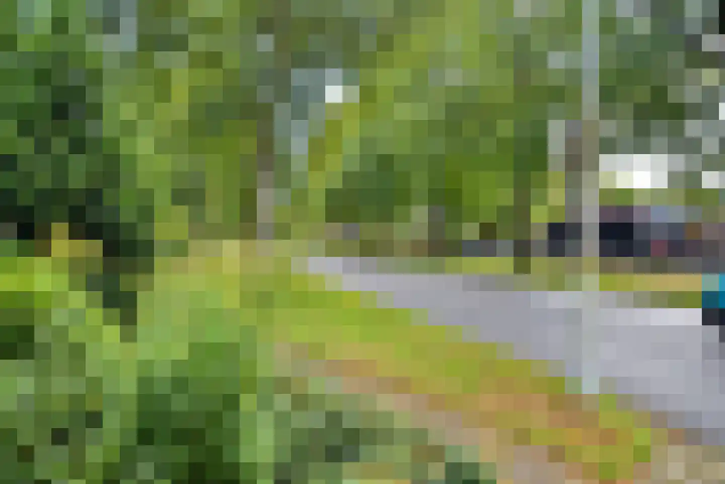 Dokter B. Hornstrasingel 83 Burgum thumbnail 10