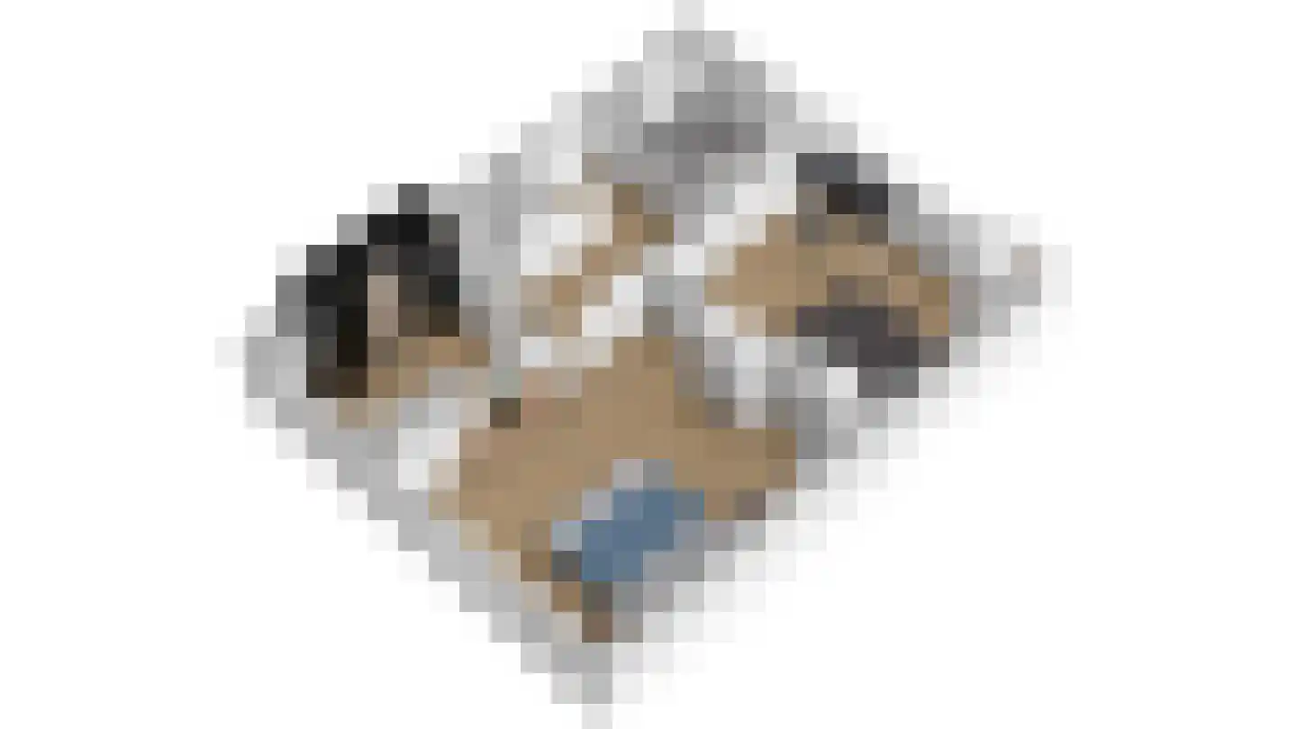 Dokter B. Hornstrasingel 83 Burgum thumbnail 37