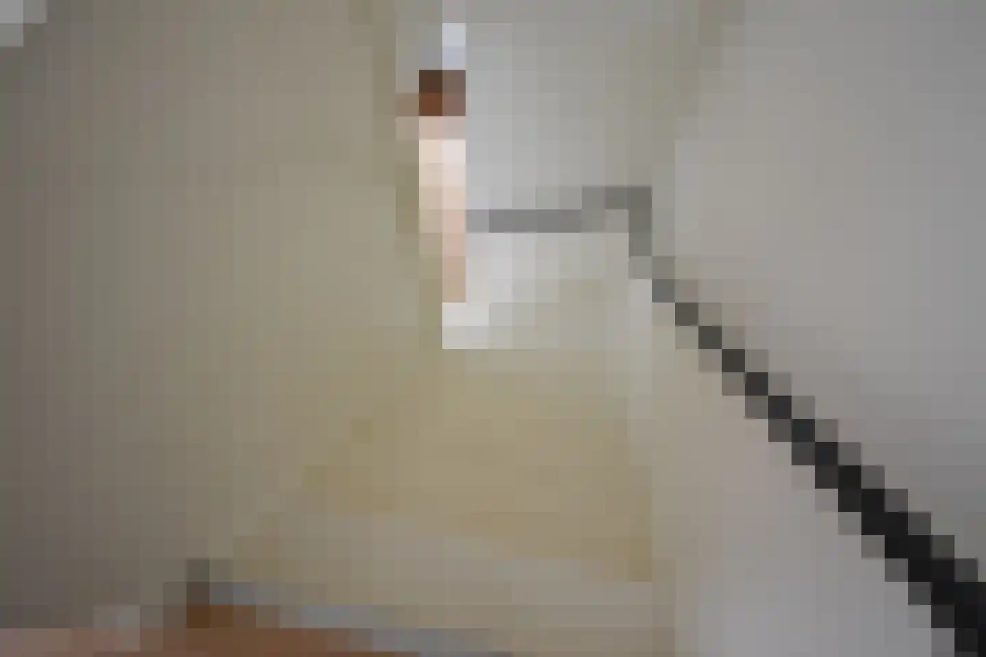 Dokter B. Hornstrasingel 83 Burgum thumbnail 38