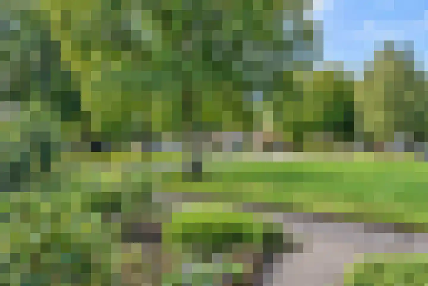 Dokter B. Hornstrasingel 83 Burgum thumbnail 4