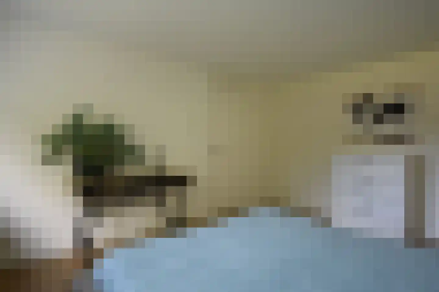 Dokter B. Hornstrasingel 83 Burgum thumbnail 44
