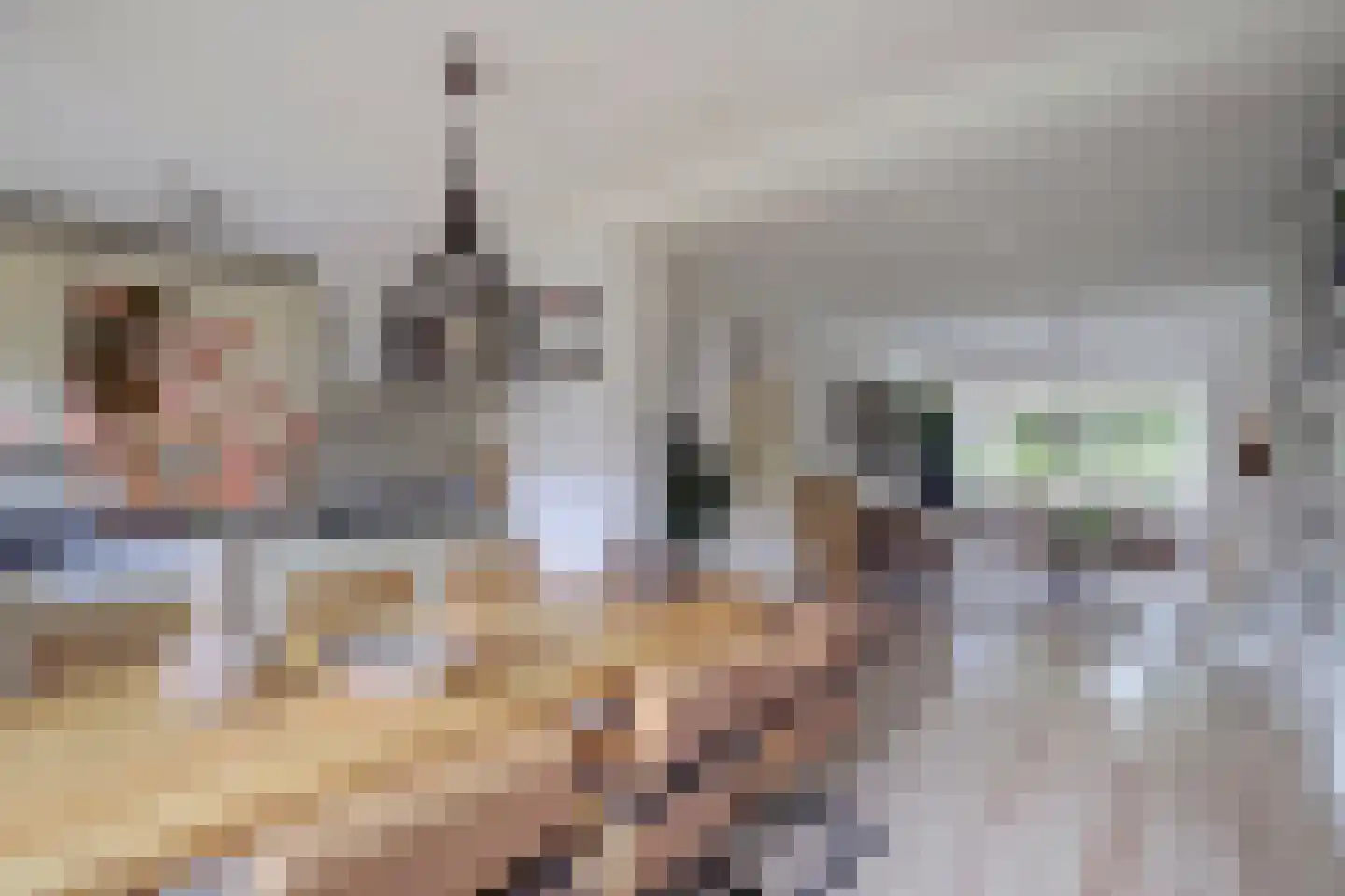 Dokter B.J.Buurmanstraat 16 Nieuwegein thumbnail 9