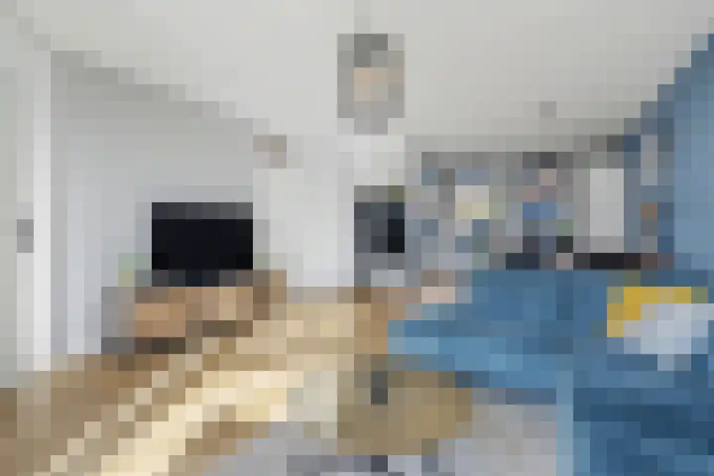 Dokter Barentsenstraat 13 Bergeijk thumbnail 10