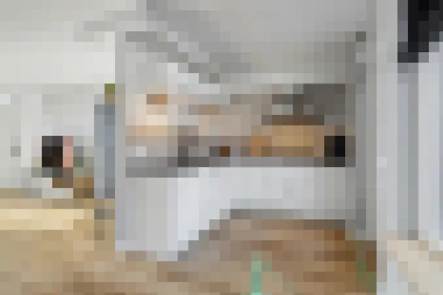 Dokter Barentsenstraat 13 Bergeijk thumbnail 13