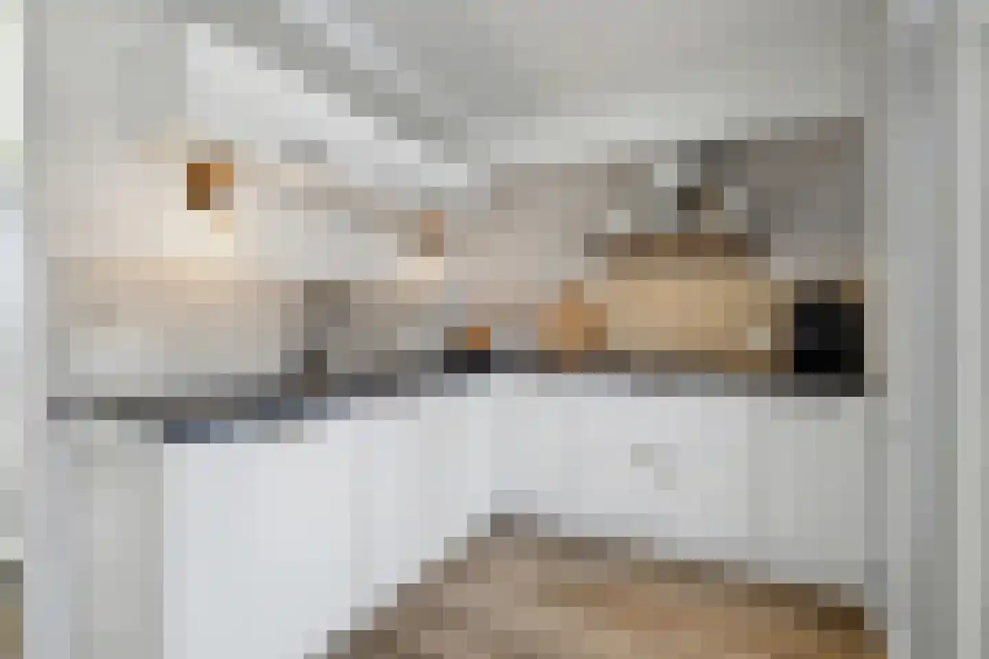 Dokter Barentsenstraat 13 Bergeijk thumbnail 15