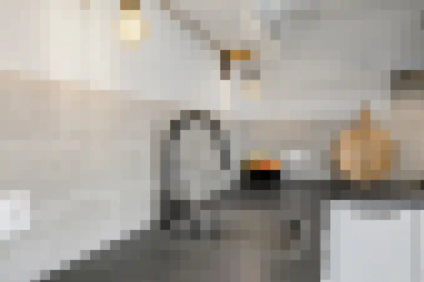 Dokter Barentsenstraat 13 Bergeijk thumbnail 16