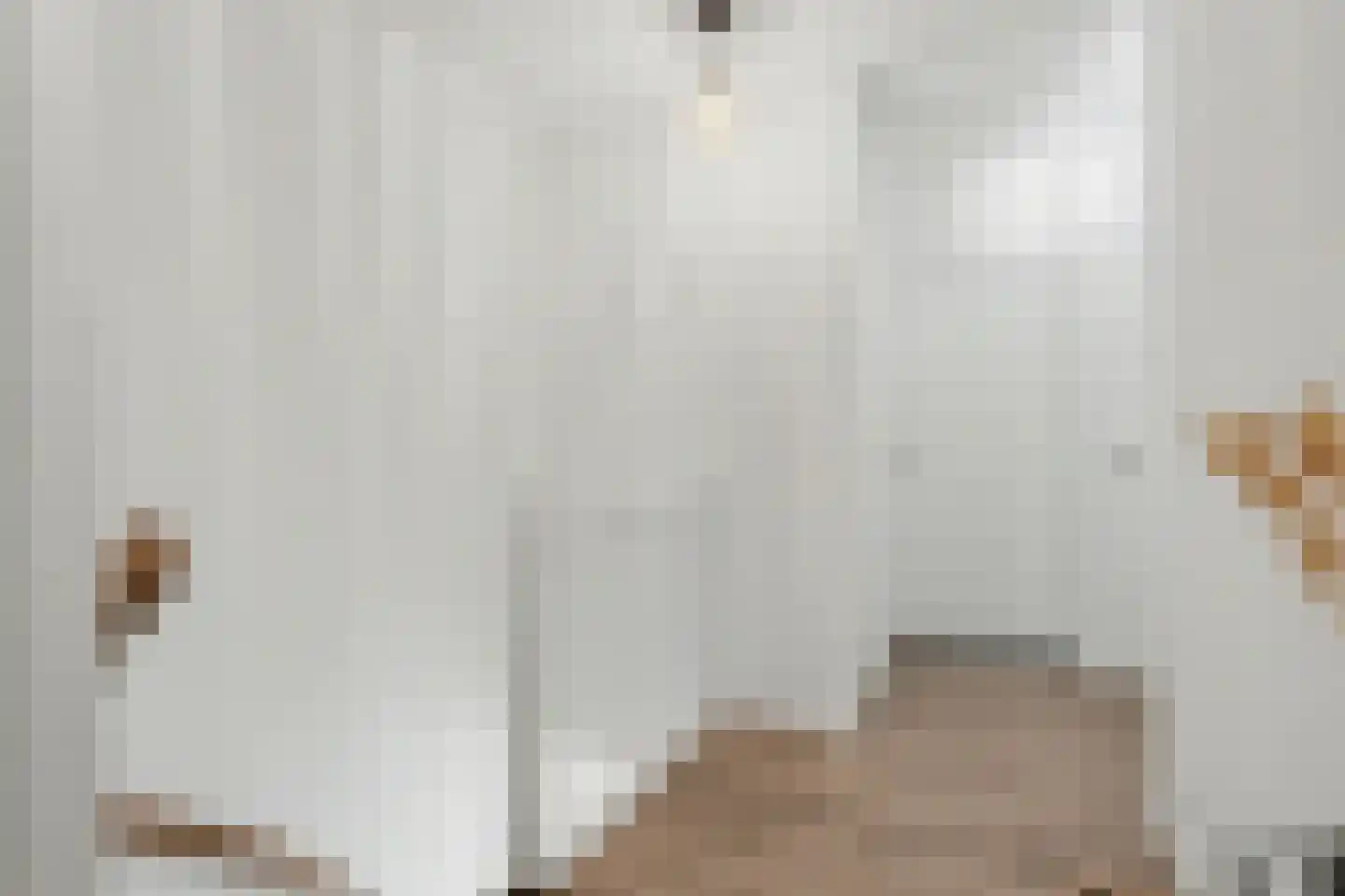 Dokter Barentsenstraat 13 Bergeijk thumbnail 22