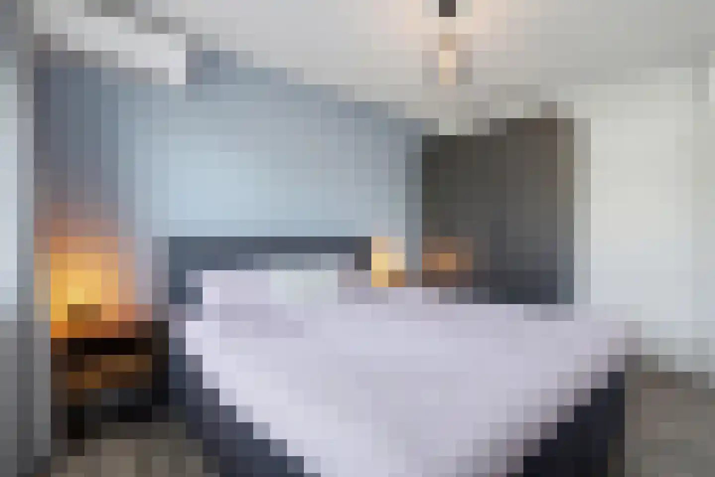 Dokter Barentsenstraat 13 Bergeijk thumbnail 24