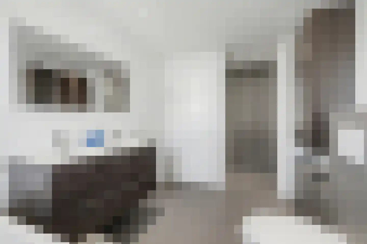 Dokter Barentsenstraat 13 Bergeijk thumbnail 29
