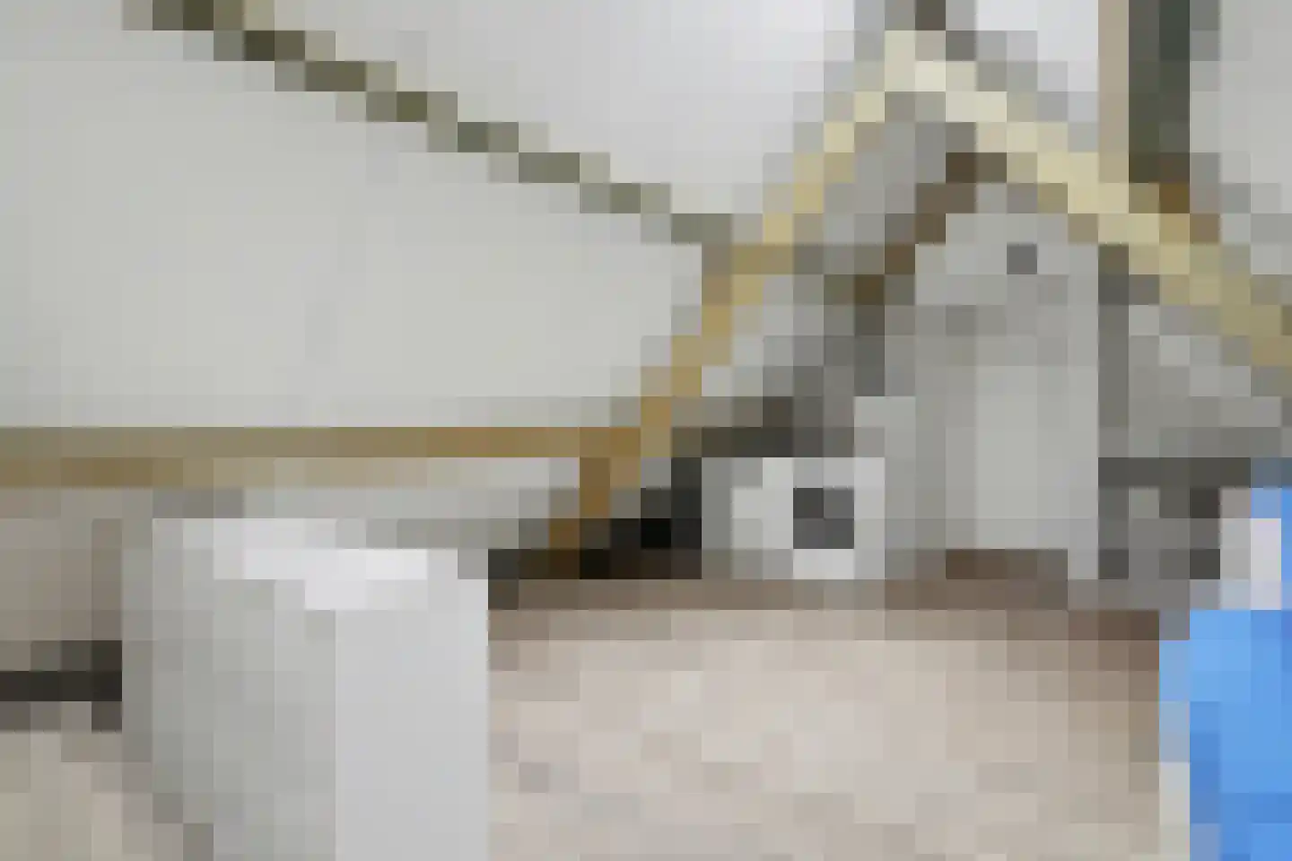Dokter Barentsenstraat 13 Bergeijk thumbnail 32