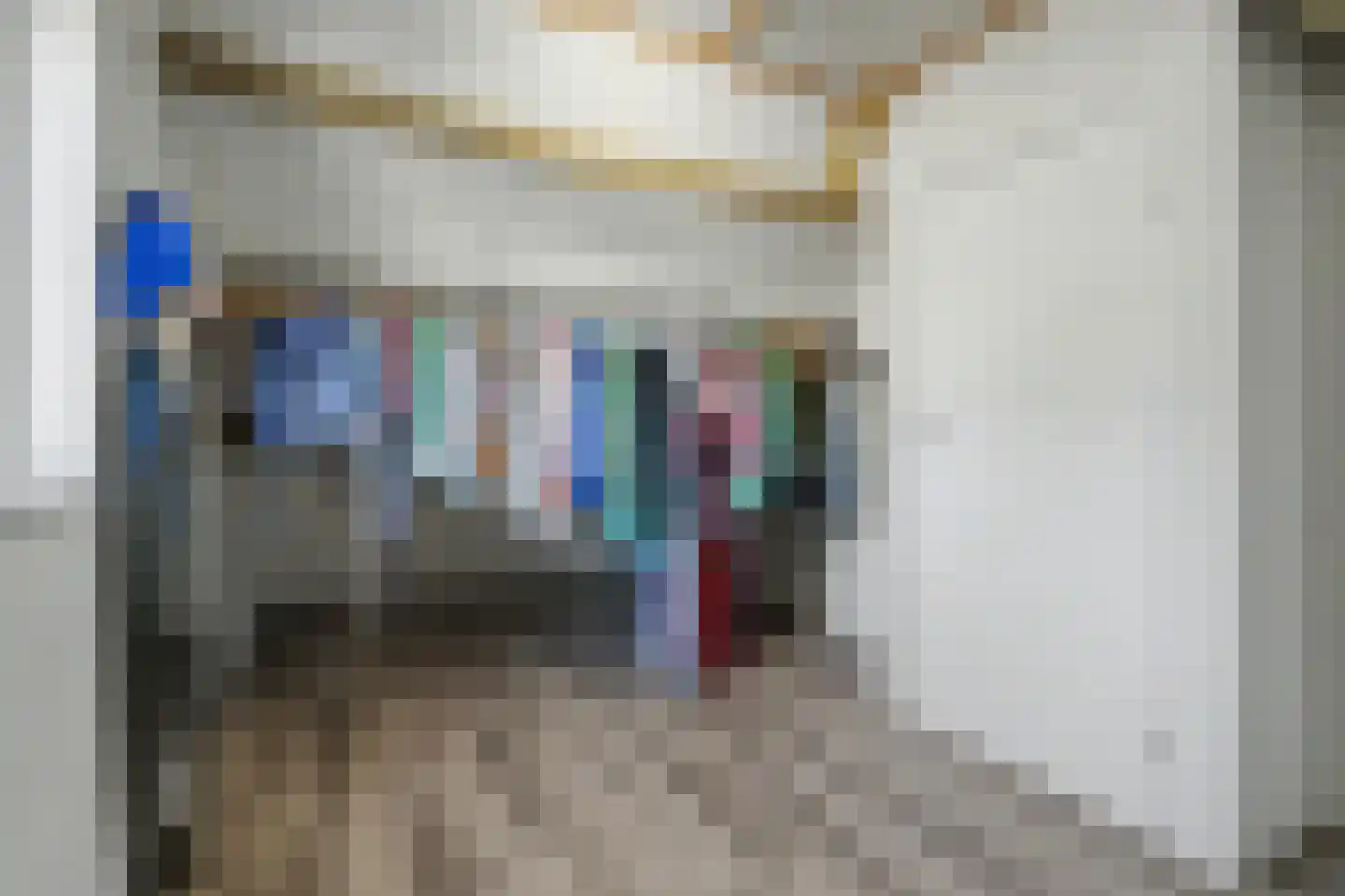 Dokter Barentsenstraat 13 Bergeijk thumbnail 35